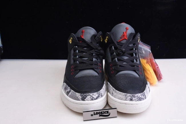 Jordan Retro Instinct CV3583-003 - Animal Air 2.0 3 SE 0809